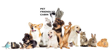 Australian Motor Homes Tourist Park - Yamba Accommodation 1