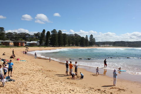 Avoca Beach Cape Cottage - Yamba Accommodation 0
