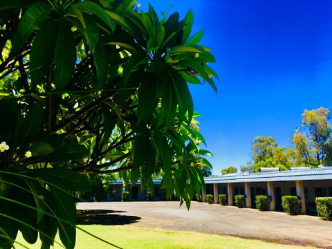 Balonne River Motor Inn - Yamba Accommodation 0