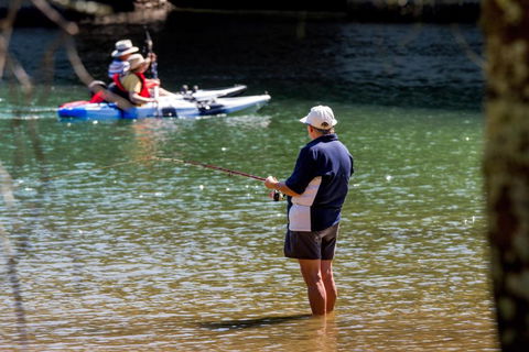 Reflections Ferry Reserve - Holiday Park - Yamba Accommodation 0