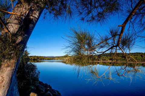 Reflections Ferry Reserve - Holiday Park - Yamba Accommodation 2