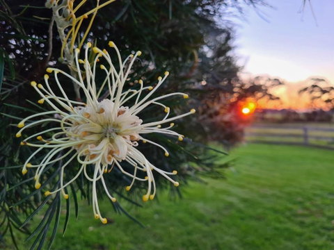 Redgate Forest Retreat - Yamba Accommodation 1