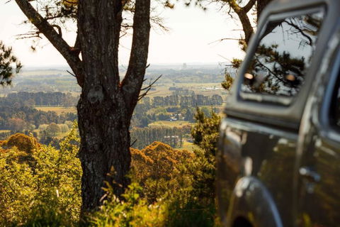 Romantic Luxury Tiny Home In An Idyllic Setting - Yamba Accommodation 1