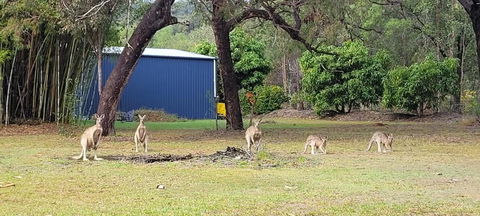 Roo Or 2 On Streeter - Yamba Accommodation 0