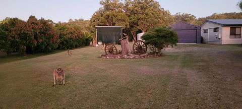 Roo Or 2 On Streeter - Yamba Accommodation 2