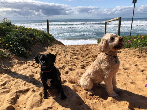 Sanctuary Retreat - Yamba Accommodation 2