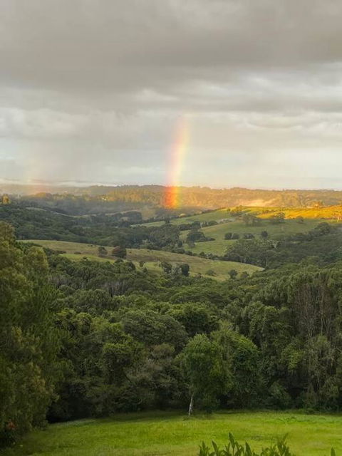 Sanctuary In Luscious Green Hills Of Coorabell - Yamba Accommodation 2