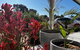 Suburban Retreat - thumb 3