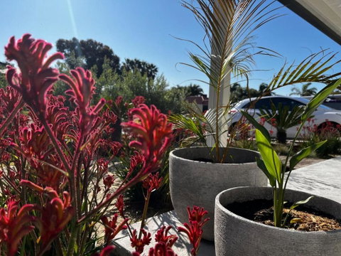 Suburban Retreat - Yamba Accommodation 3