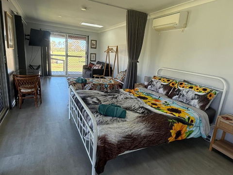 Sunrise Quarter Horse Stud - Yamba Accommodation 2