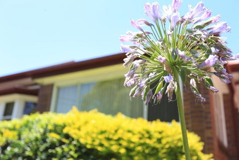 Sydney, Bexley North Holiday Home 3bedrooms, Free Parking, Close To Train Station And CBD - Yamba Accommodation 1