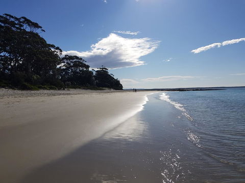 Beachside Husky - Waterfront - Yamba Accommodation 2