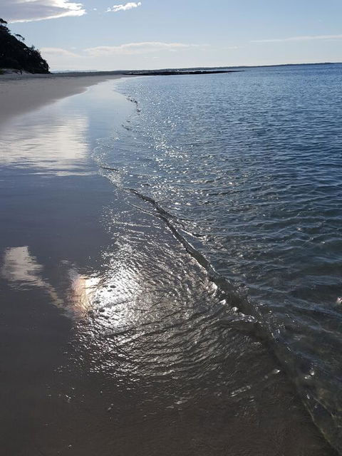 Beachside Husky - Waterfront - Yamba Accommodation 3