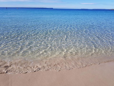 Beachside Husky Waterfront Cabin - Yamba Accommodation 0