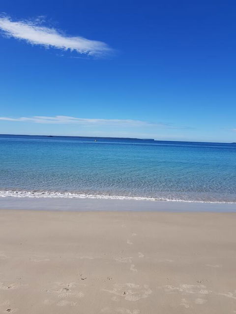Beachside Husky Waterfront Cabin - Yamba Accommodation 3