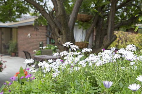 Bed And Breakfast In Perth - Yamba Accommodation 1