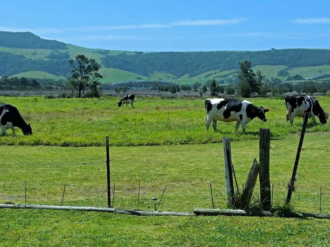 Bella Vista - Yamba Accommodation 3