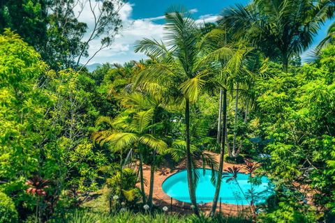Bella Vista Bellingen - Yamba Accommodation 1