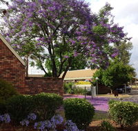 Belvoir Village Motel  Apartments Wodonga - Yamba Accommodation