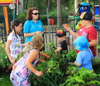 Book Lemon Tree Passage Accommodation Vacations Yamba Accommodation Yamba Accommodation