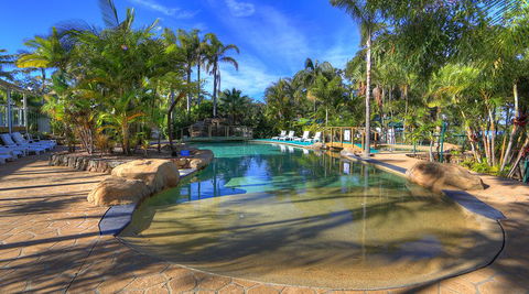 BIG4 Koala Shores Holiday Park - Yamba Accommodation 3