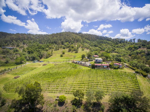 Bimbadeen Estate - Yamba Accommodation 1