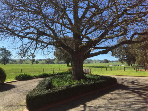 Birchwood Cottage - Yamba Accommodation 1