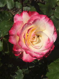 Book Yarck Accommodation Vacations Yamba Accommodation Yamba Accommodation