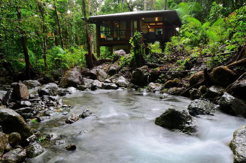 Black Palm Cape Tribulation - Yamba Accommodation 2