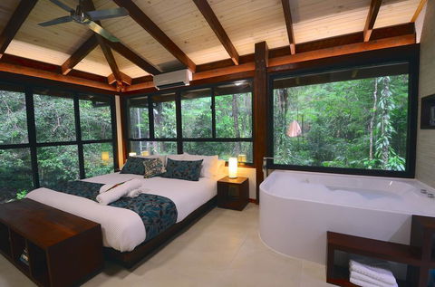 Black Palm Cape Tribulation - Yamba Accommodation 3