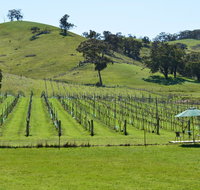 Blue House at Mountainside Wines - Yamba Accommodation