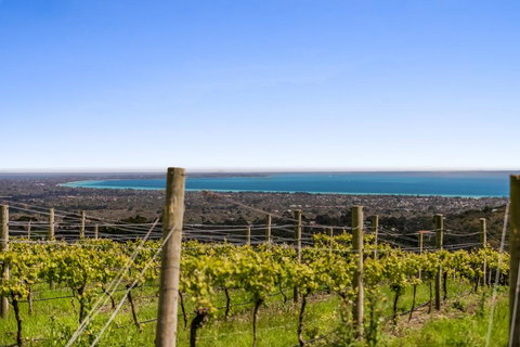 Blue Range Estate Villas - Yamba Accommodation 3