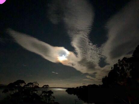 Blue Waters Holiday Cottages - Yamba Accommodation 2