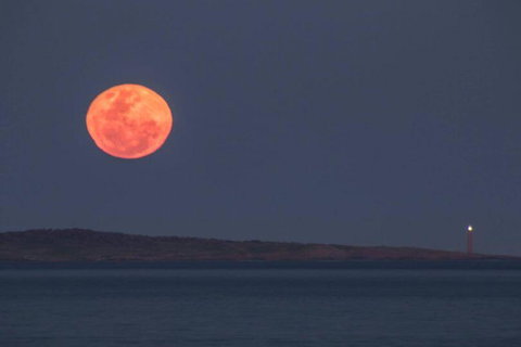 Blue Waters Holiday Cottages - Yamba Accommodation 1