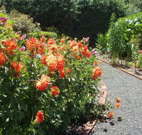 Boat Harbour Garden Cottages - Yamba Accommodation