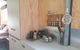 The Shed At Port Arthur. Hidden Gem. - thumb 1