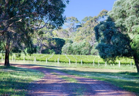 Tintagel Estate I Private Properties - Yamba Accommodation 1