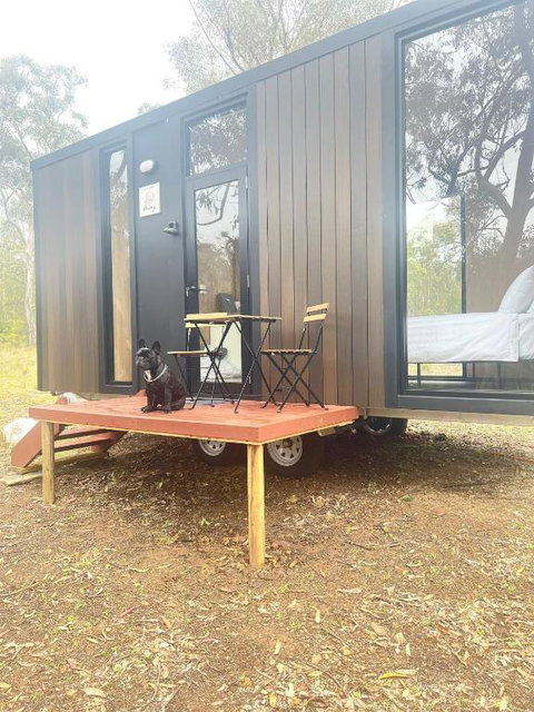 Whispering Wallaby By Tiny Away - Yamba Accommodation 1