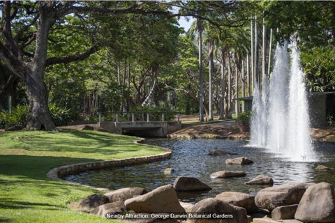 ZEN TREETOPS - Boutique 2-BR Apt W/ Private Pool - Yamba Accommodation 3