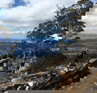 kunanyi / Mt Wellington Explorer Bus - 2 Hour Return Tour - Yamba Accommodation