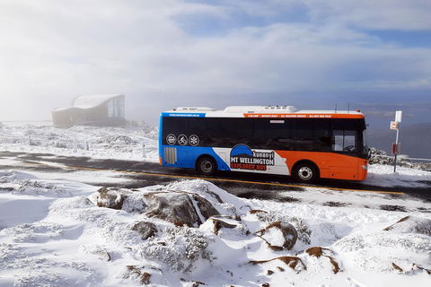 Kunanyi/Mt Wellington Tour & Hobart Hop-On Hop-Off Bus - Yamba Accommodation 2