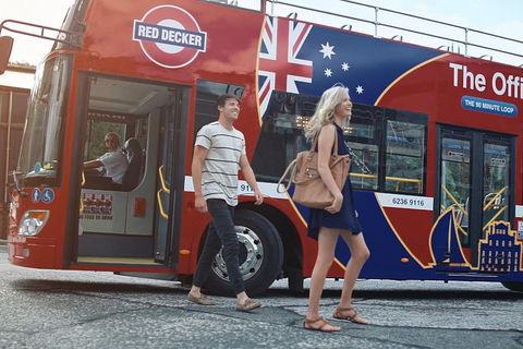 Kunanyi/Mt Wellington Tour & Hobart Hop-On Hop-Off Bus - Yamba Accommodation 4