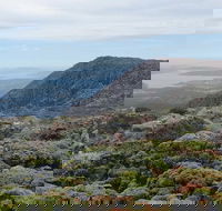 kunanyi/Mt Wellington Explorer Bus - One Way Tour - Yamba Accommodation