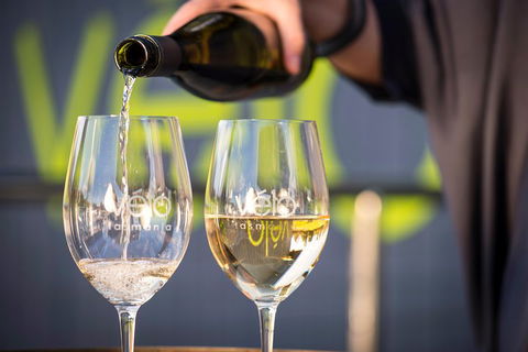 Full Day Tamar Valley Wine Tour - Yamba Accommodation 2