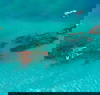 Private Tangalooma Wrecks Tour - Yamba Accommodation