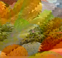 Private Half Day Tour Exclusive World Heritage Rainforest and Waterfall Tour from Cairns - Yamba Accommodation