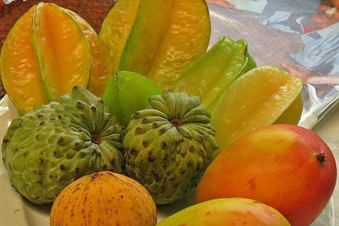 Cairns 4WD Waterfall And Rainforest Tour Including Kuranda Scenic Railway - Yamba Accommodation 4