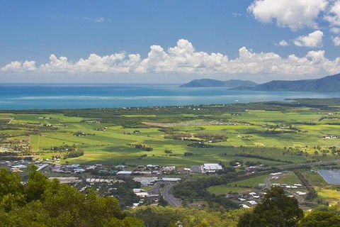 3-Day Best Of Cairns Combo: The Daintree Rainforest, Great Barrier Reef, And Kuranda - Yamba Accommodation 3