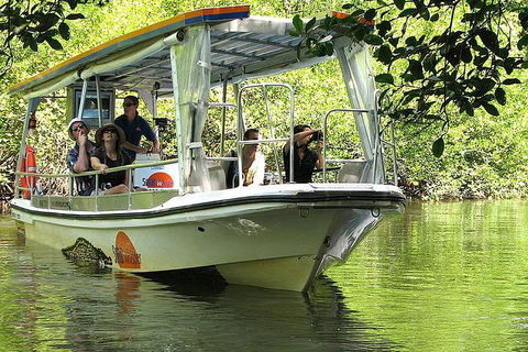 3-Day Best Of Cairns Combo: The Daintree Rainforest, Great Barrier Reef, And Kuranda - Yamba Accommodation 4