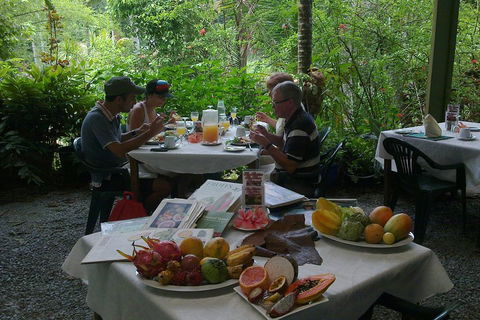 3-Day Best Of Cairns Combo: The Daintree Rainforest, Great Barrier Reef, And Kuranda - Yamba Accommodation 5